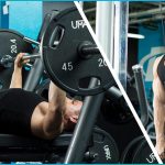 the best Mastering Strength Training: Your Path to a Stronger Body 24 Mastering Strength Training Your Path to a Stronger Body