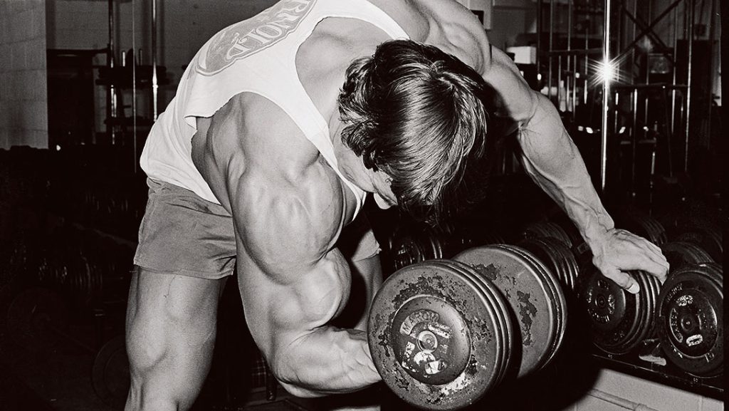 Sculpting Excellence Arnold's Ultimate Shoulder and Arms Workout Routine