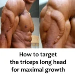 How to target the long triceps head for maximal growth ⬇️⬇️ 26 Exercise illustrating techniques to target the long triceps head for muscle growth