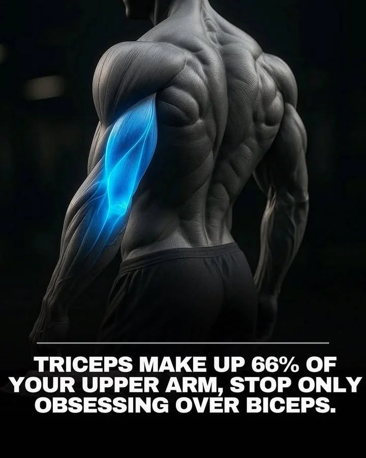 The 5 best exercises to build a bigger triceps (Llnk in commemts) 2 Five top exercises to build triceps for larger arms