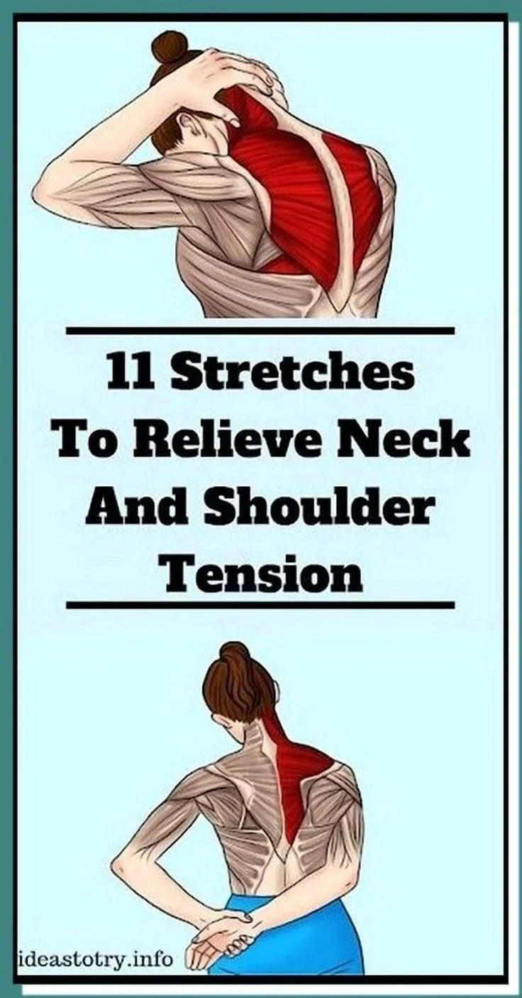 Exercises targeting tension relief in neck and shoulders for better wellness.