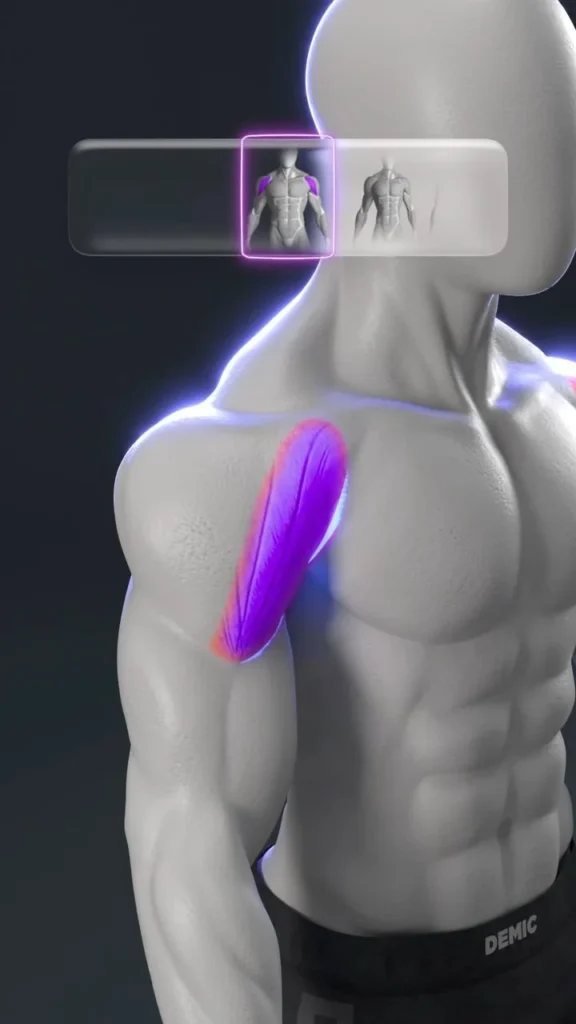 3D Shoulders Workout 1 3D shoulders workout exercises for building strength and muscle tone.