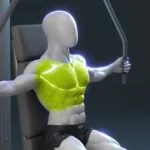 Chest Fly Workout 17 Person performing a chest fly exercise for upper body strength training