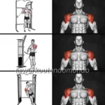 Enhance Your Shoulders: Top 5 Cable Exercises 16 Person performing cable exercises for shoulder enhancement and strength training