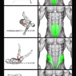 Workout routine for abs at home: Dragon Flag, Laying Hip Raise, Alternate Leg Raise, Half Wipers