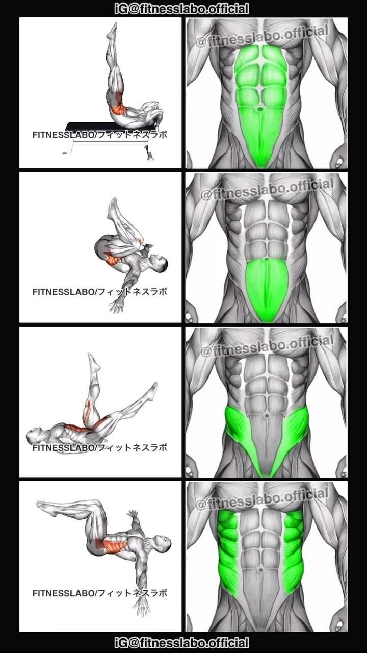 Workout routine for abs at home: Dragon Flag, Laying Hip Raise, Alternate Leg Raise, Half Wipers
