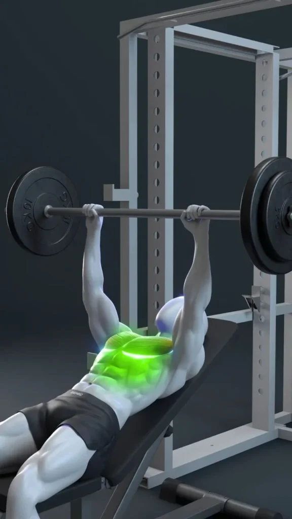 Perfect Incline Bench Press Form 5 Person demonstrating perfect incline bench press form in a gym