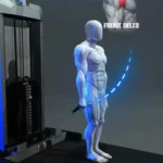 Cable shoulder workout exercises for strength and definition