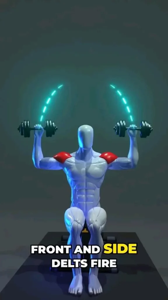 Shoulder Workout on dumbbells 2 Person performing a shoulder workout with dumbbells for strength and muscle gain.