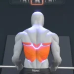 Smith Machine Row Techniques 16 Person demonstrating Smith Machine Row techniques for back strength.