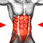 Video demonstrating top exercises for the abdomen using dumbbells and training techniques.