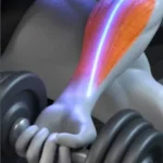 Video showcasing упражнения для рук and dumbbell workouts for men in 2025.