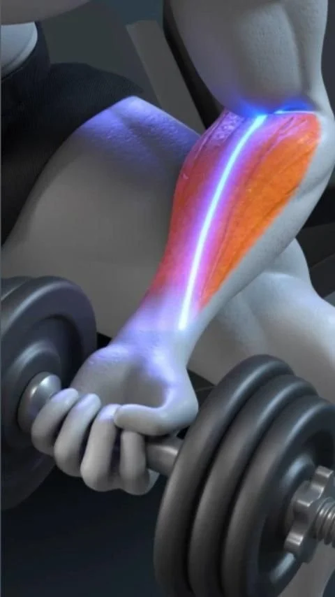 Video showcasing упражнения для рук and dumbbell workouts for men in 2025.