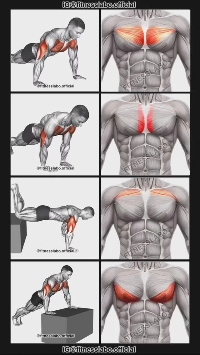 Bodyweight chest workout exercises including push-ups and variations.