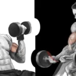 Which exercise builds a bigger biceps peak : the incline dumbbell curl or the preacher curl⬇️⬇️ 17 Comparison of incline dumbbell curl and preacher curl for biceps peak development
