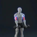 Upper body dumbbell workout for massive arm and shoulder growth.