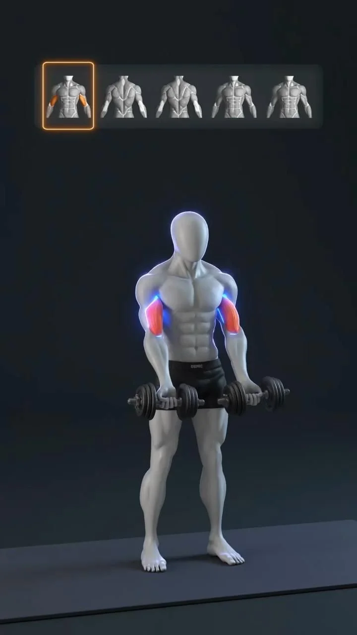 5 Moves, 1 Dumbbell Workout for MASSIVE Arm/Shoulder Growth!

FULL Upper Body Dumbbell Workout for … [Video] in 2025 | Workout gym routine, Best gym workout, Abs and cardio workout