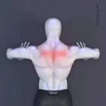 Person demonstrating a bodyweight push-pull workout for chest and back strength