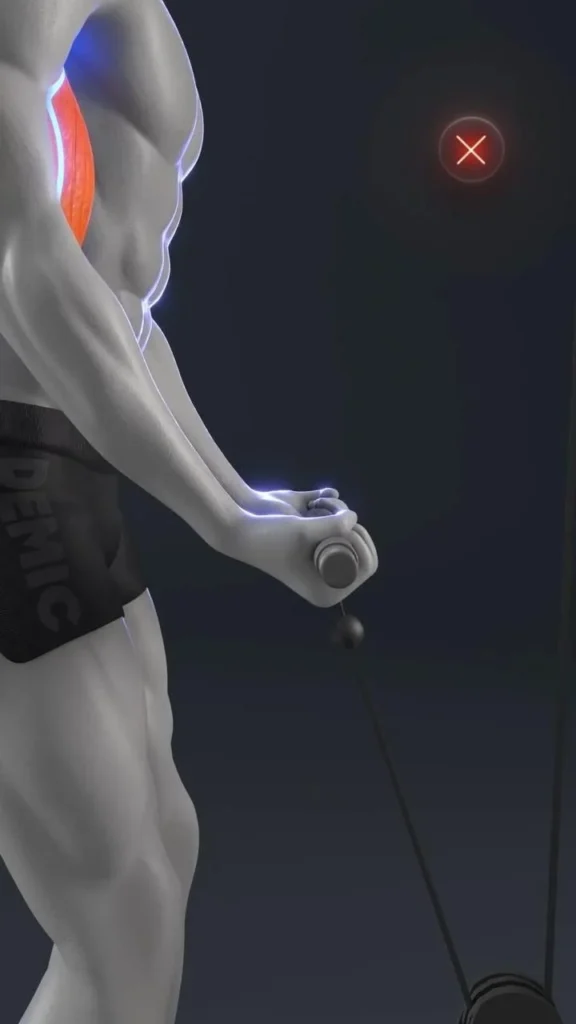 Man performing bicep curls with cables for better peak gains