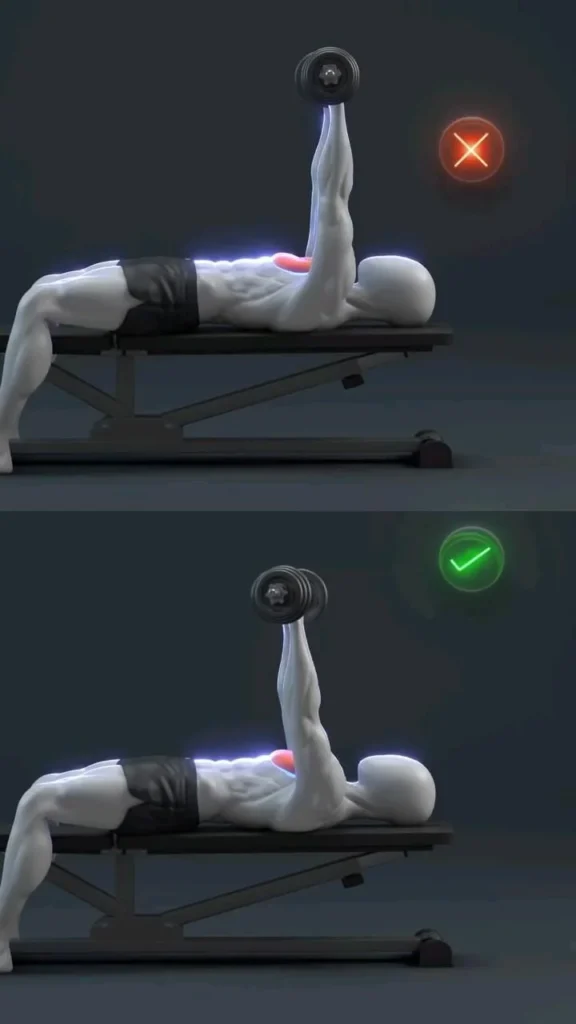 Person performing a dumbbell bench press exercise for upper body strength
