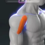 Dumbbell shoulder workout focusing on all three heads with a push-up trick.