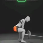 Person performing a full lower body workout with weights in a gym setting