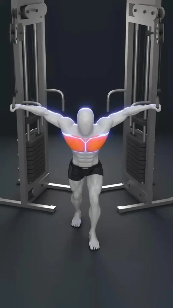 High-to-Low vs. Mid Cable Fly for chest building workout