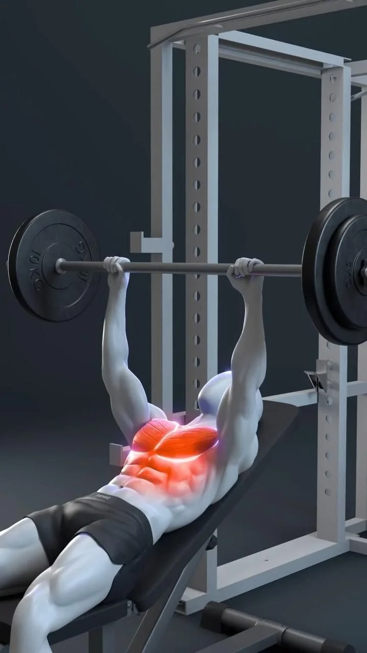 Incline Bench Press Form: 3 Quick Cues for MAXIMUM Chest Activation 🔥

This is the bench press cue that separates t… [Video] in 2025 | Bench press form, Incline bench, Bench press