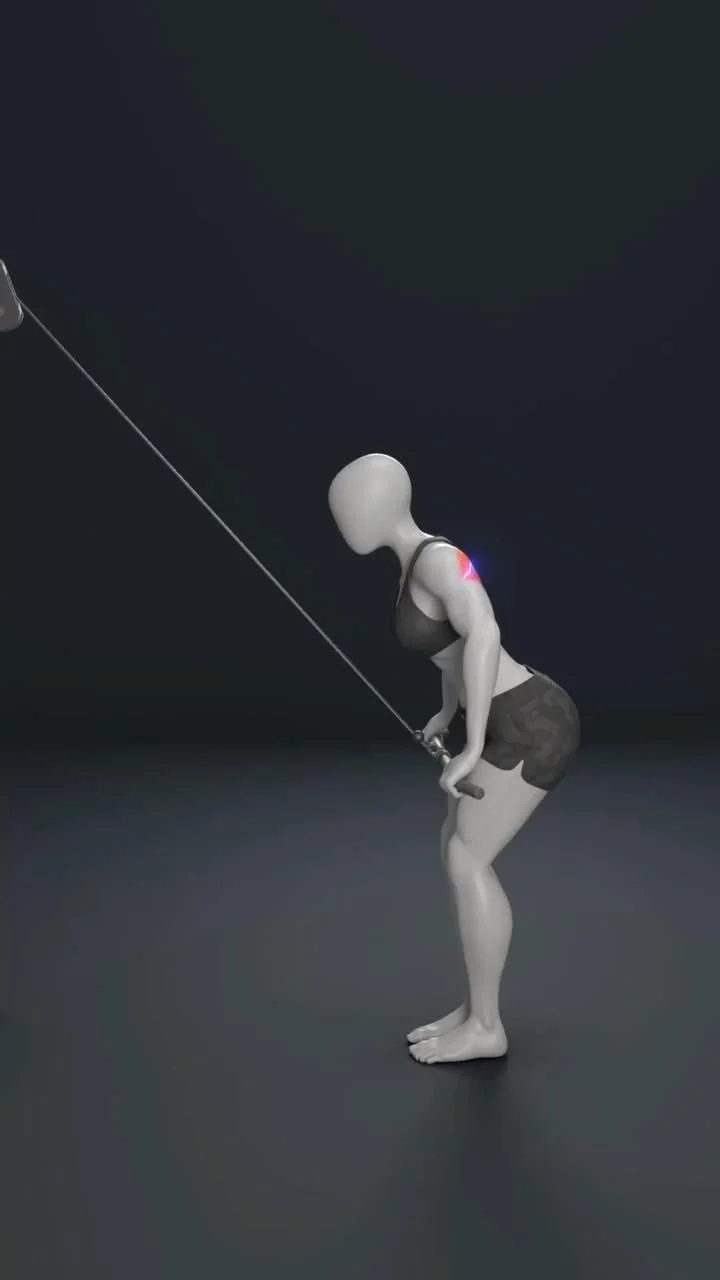 Killer Dumbbell Shoulder Routine (Front, Side, & Rear Delt Focus)

Want 3D, caps-like shoulders? 🔥 Y… [Video] in 2025 | Workout gym routine, Back workout routine, Best gym workout