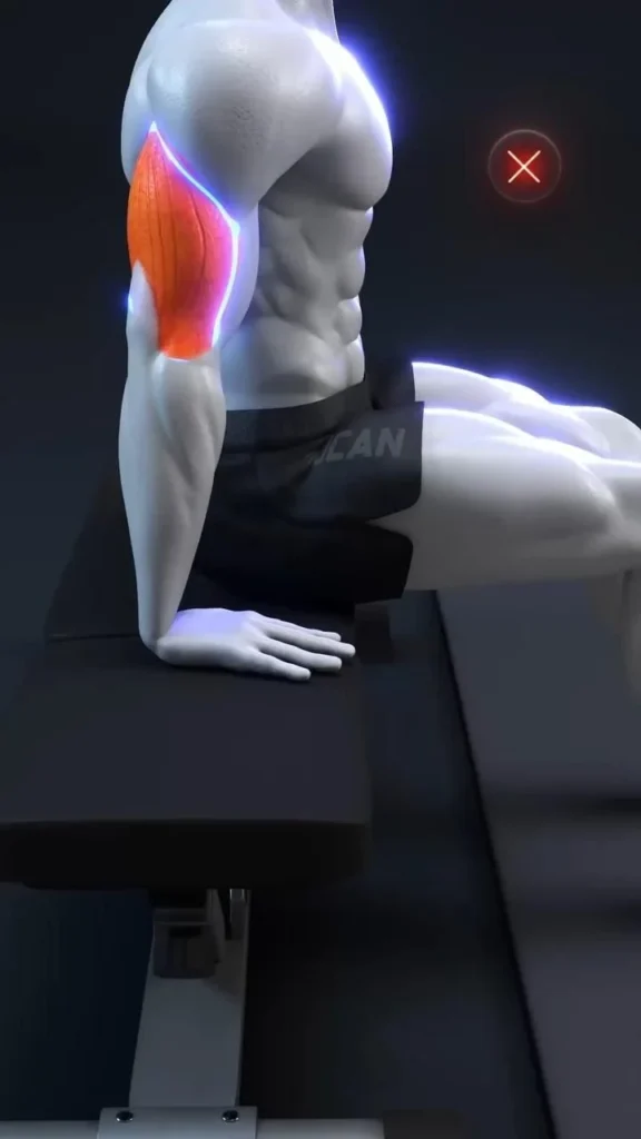 Man executing the perfect triceps bench dip for optimal muscle growth.