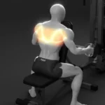 Seated row handle illustration for building a thick back in gym workouts