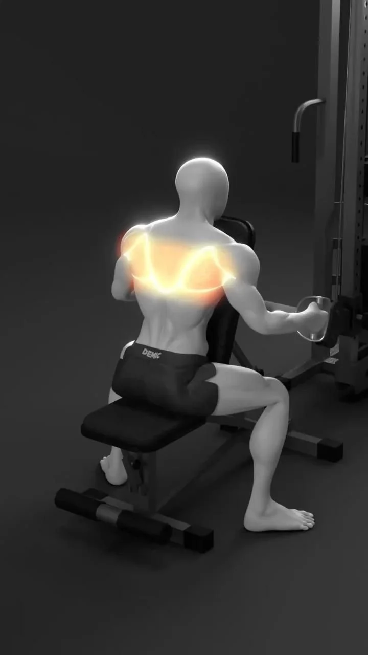 The Secret to a THICK Back: Seated Row Handle & Muscle Map

🚨 Are You Using The Right Handle? 🚨… [Video] in 2025 | Workout gym routine, Gym workout chart, Bodyweight back workout