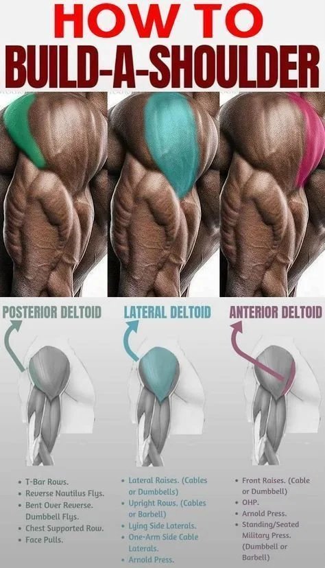 Try The New Dbol From CrazyBulk For Fast muscle building | Shoulder workout, Weight training workouts, Best shoulder workout