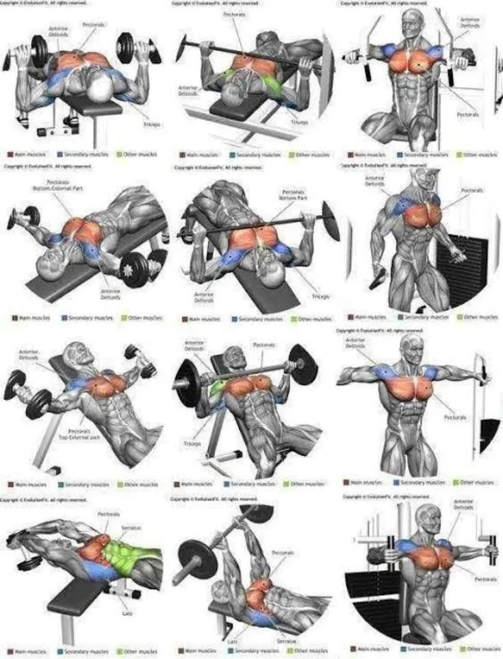 Chest workout