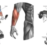 Forearm workout 19 Individual performing a forearm workout with dumbbells in a gym setting.