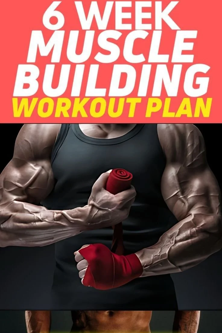 Guide to creating a muscle building plan for optimal strength gains.