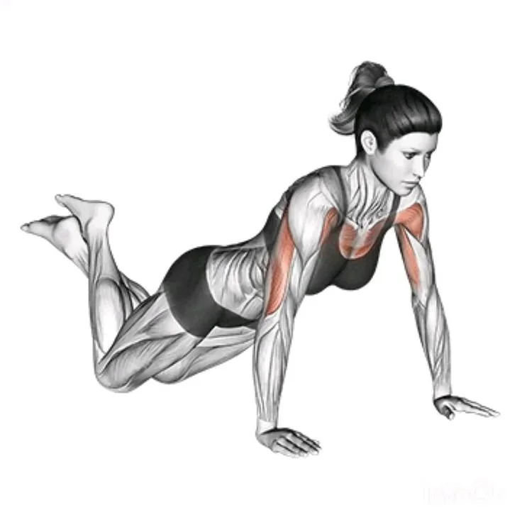 A person performing a knee push up for strength training and fitness