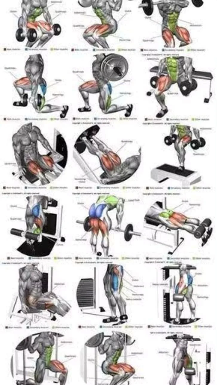 Legs workout exercises for strength and toning