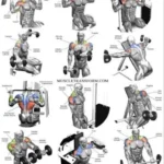 Shoulder workout 18 Man performing shoulder workout with dumbbells for strength and fitness