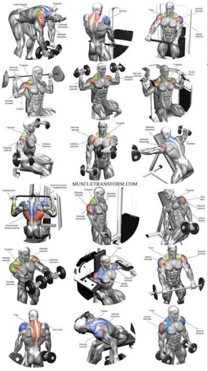 Man performing shoulder workout with dumbbells for strength and fitness